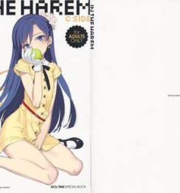 Japanese IN THE HAREM C SIDE- The idolmaster hentai Cojiendo