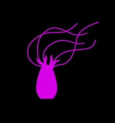 Women Fucking Pink Tentacle Creature- Original hentai Milfporn