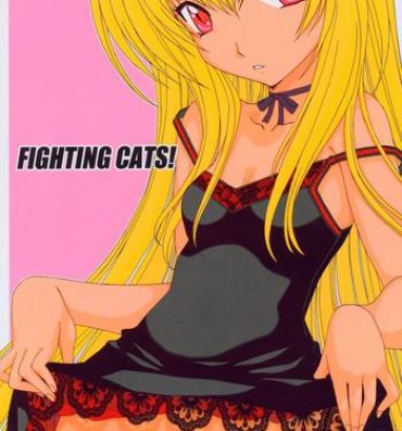 Gay Averagedick Fighting Cats!- Black cat hentai Vergon
